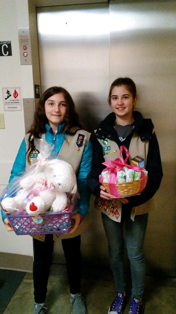 Girl Scout Basket 2018