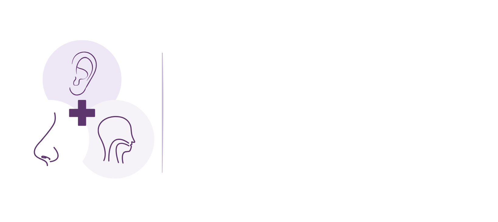 Auburn Ear Nose and Throat Services